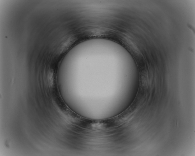 X0000097460216200803071638