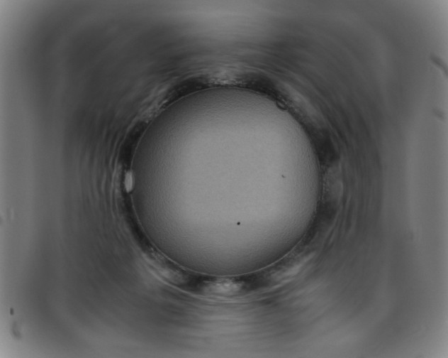 X0000097460217200803071638