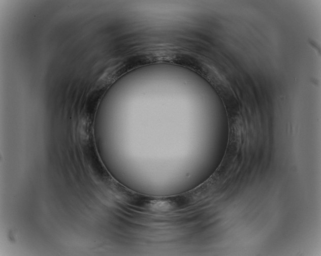 X0000097460218200803071638