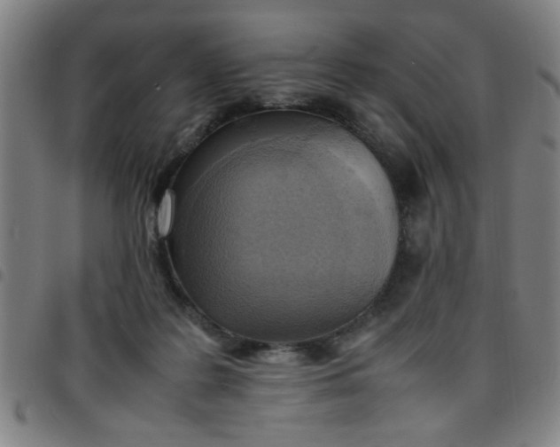 X0000097460219200803071638