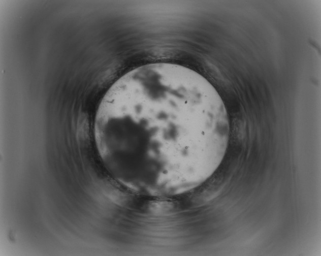 X0000097460220200803071638