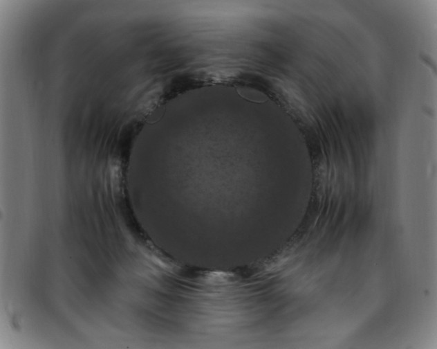 X0000097460222200803071638