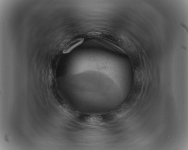 X0000097460223200803071638