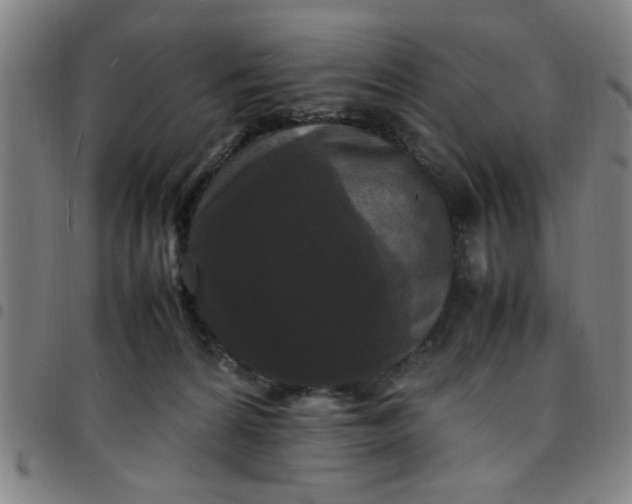 X0000097460224200803071638