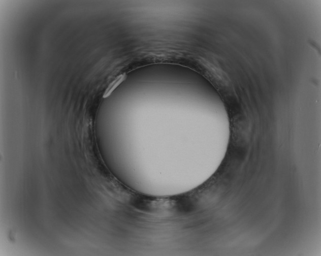 X0000097460225200803071638