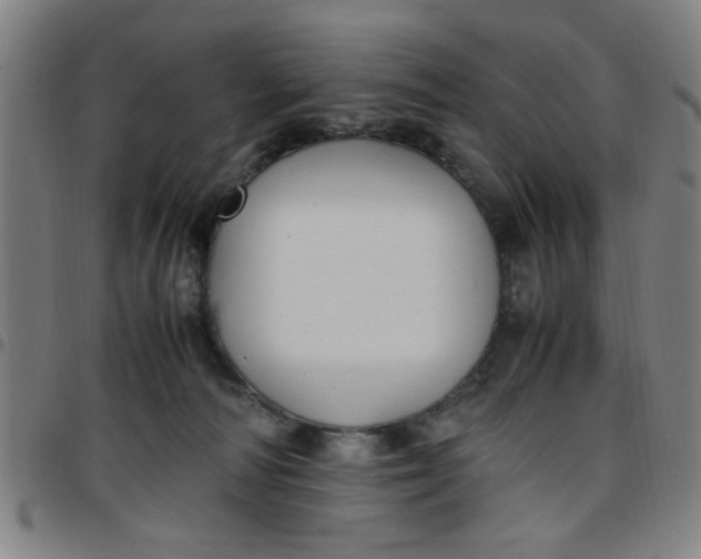 X0000097460226200803071638