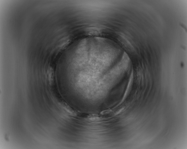 X0000097460228200803071638