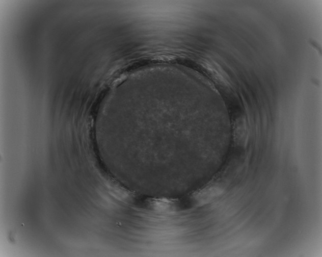 X0000097460229200803071638