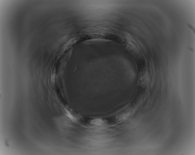 X0000097460231200803071638