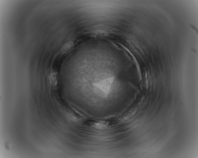 X0000097460232200803071638