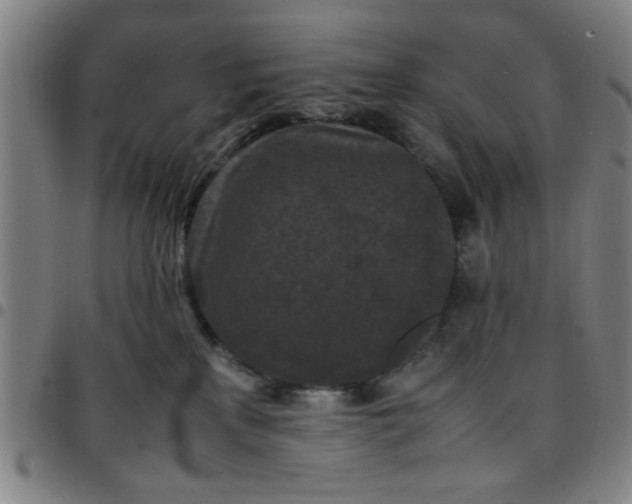 X0000097460233200803071638