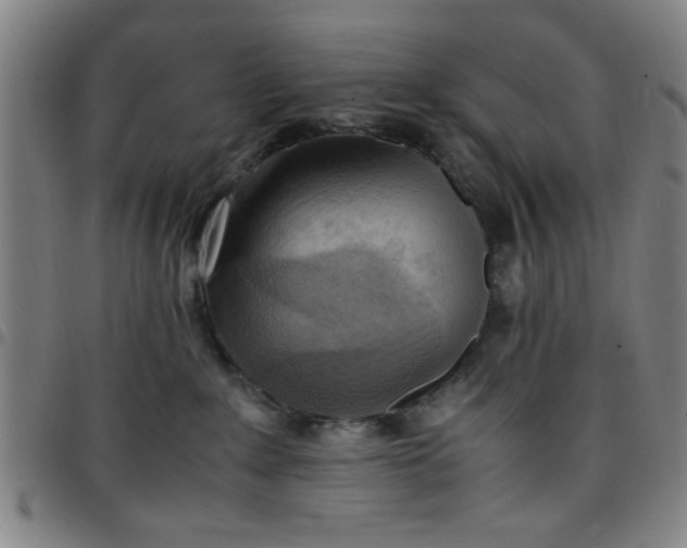 X0000097460235200803071638