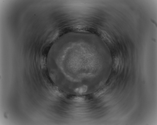 X0000097460236200803071638