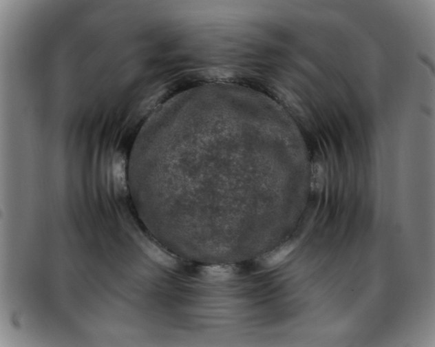 X0000097460238200803071638