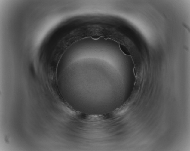 X0000097460239200803071638