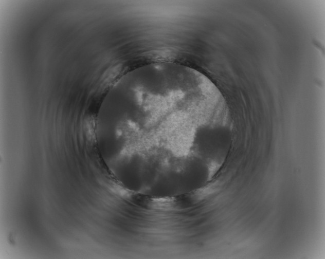 X0000097460240200803071638