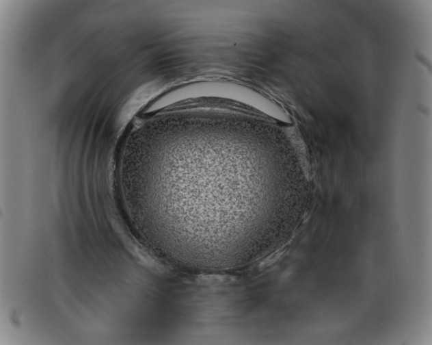 X0000097460242200803071637