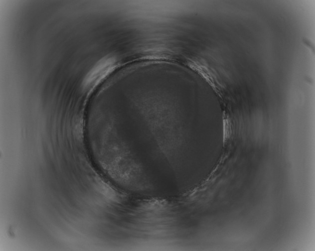 X0000097460243200803071637