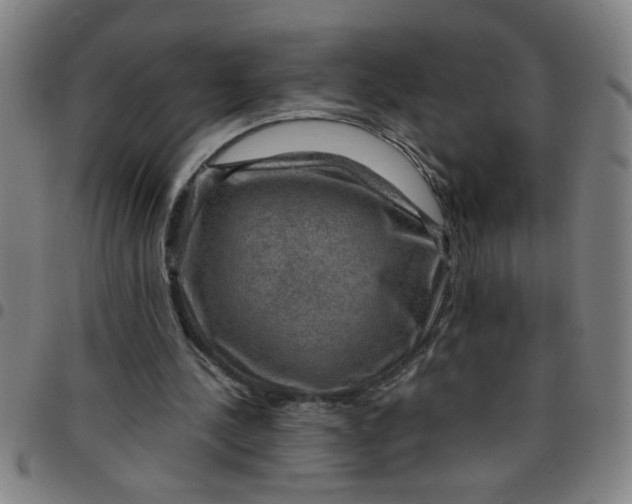 X0000097460244200803071637