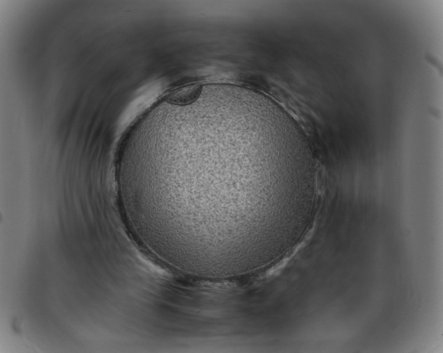 X0000097460245200803071637