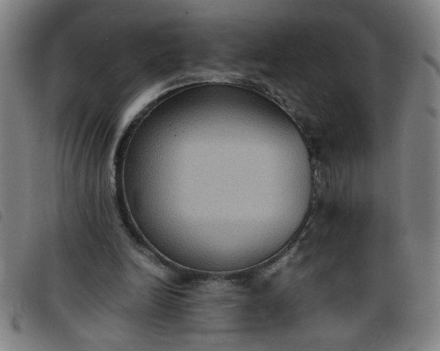 X0000097460246200803071637