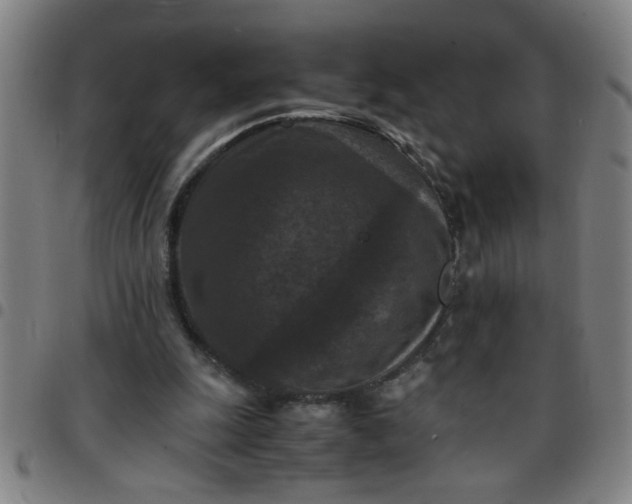 X0000097460247200803071637