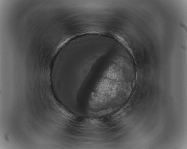 X0000097460249200803071637