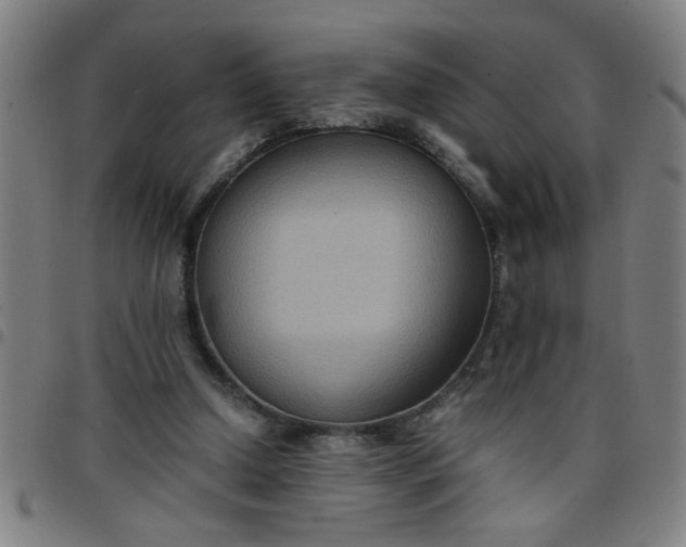 X0000097460250200803071637