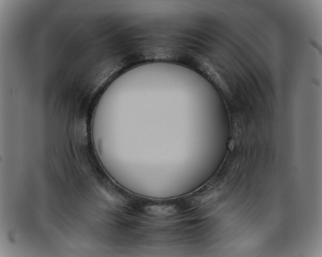 X0000097460251200803071637