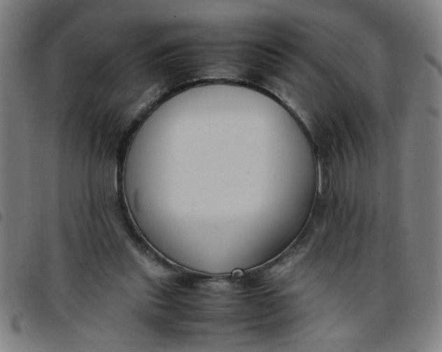 X0000097460253200803071637