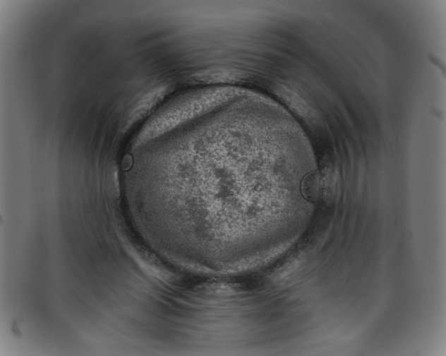 X0000097460254200803071637