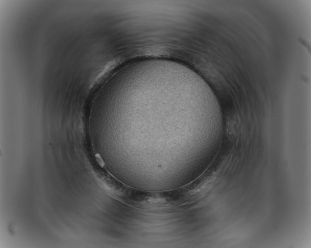 X0000097460256200803071637