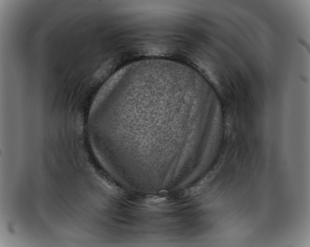 X0000097460257200803071638