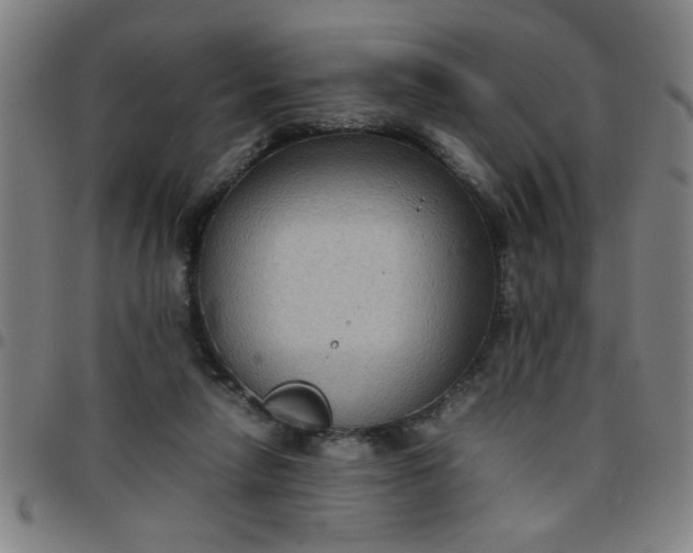 X0000097460258200803071638