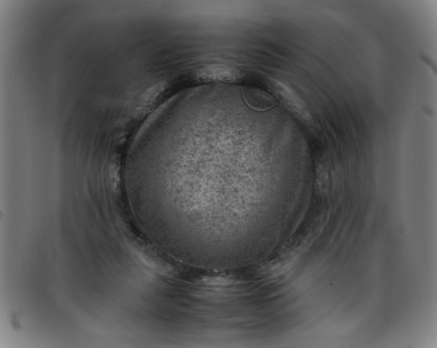 X0000097460259200803071638