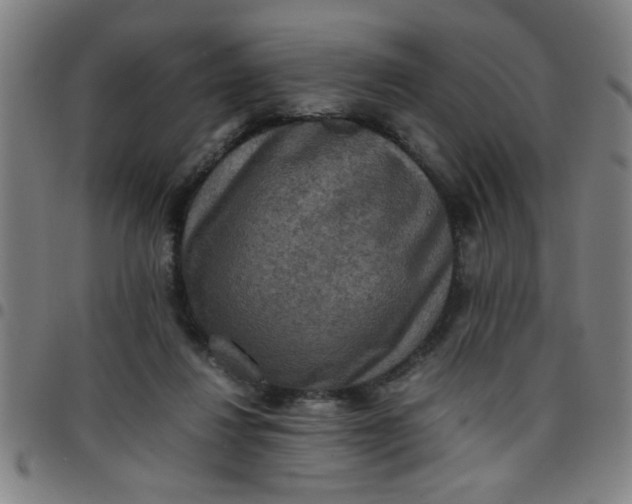 X0000097460260200803071638