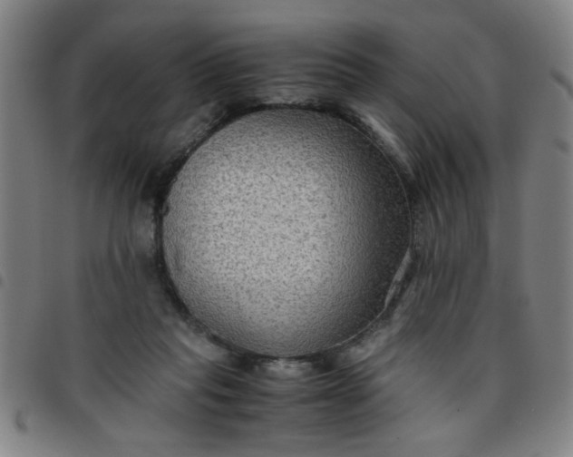 X0000097460261200803071638