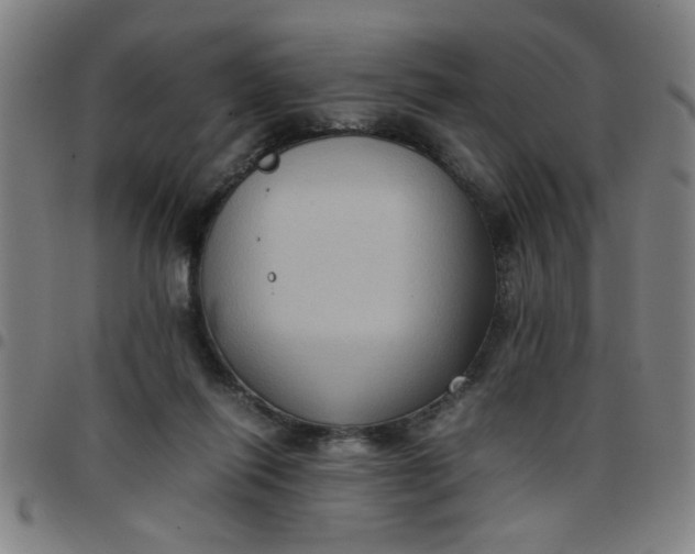 X0000097460262200803071638