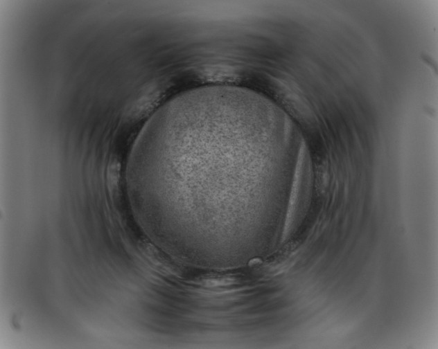 X0000097460263200803071638