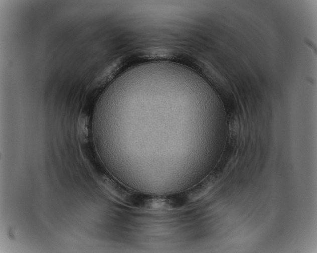 X0000097460264200803071638