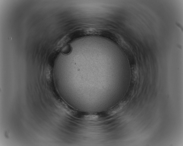 X0000097460266200803071638