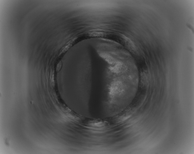 X0000097460267200803071638