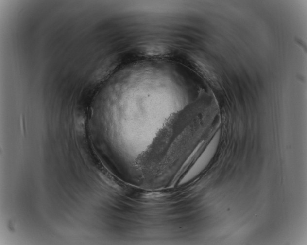 X0000097460269200803071638