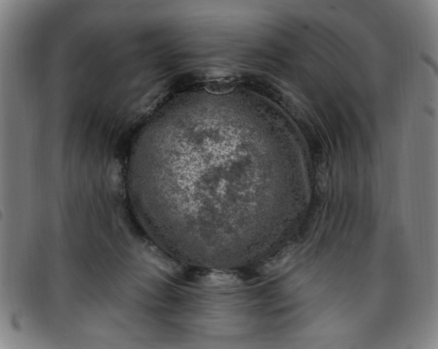 X0000097460270200803071638