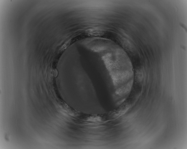 X0000097460271200803071638