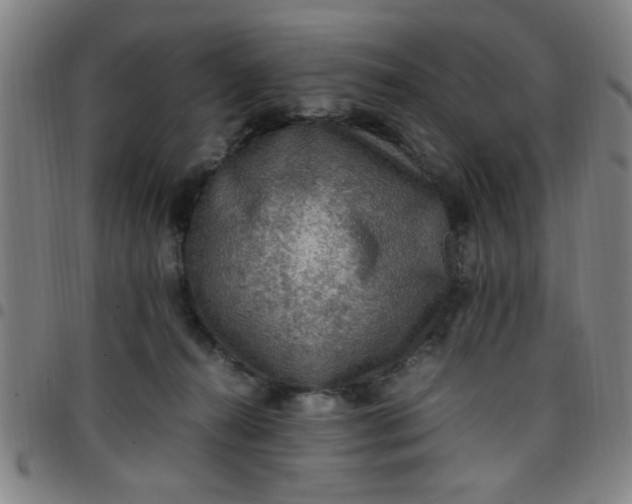 X0000097460272200803071638