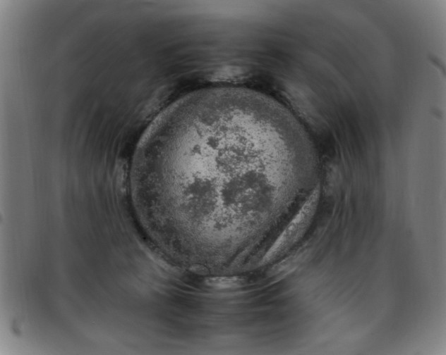 X0000097460273200803071638