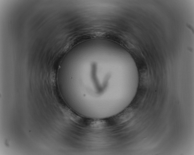 X0000097460274200803071638