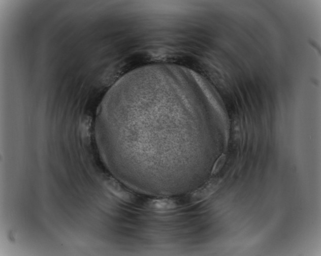 X0000097460275200803071638