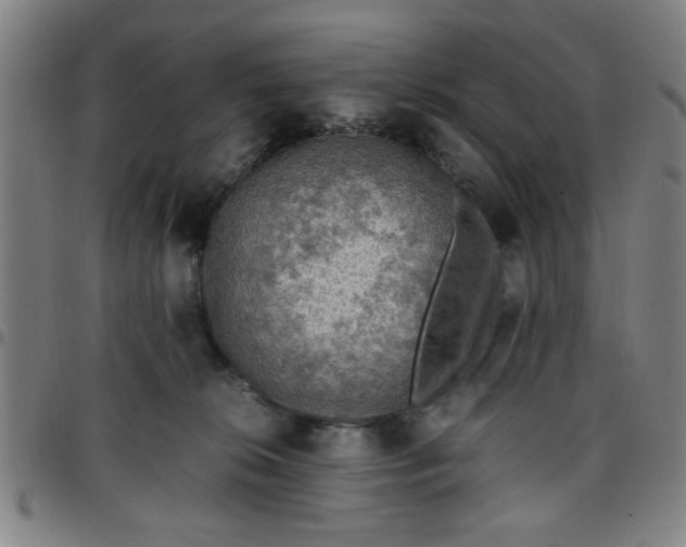 X0000097460276200803071638